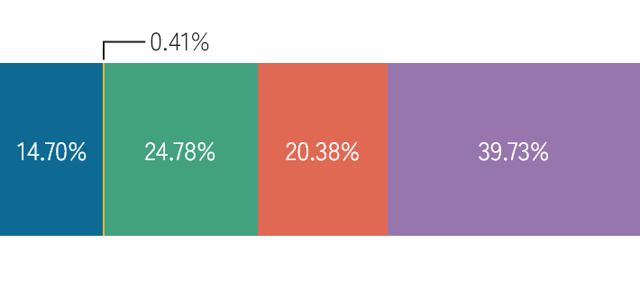 Distribution of shares by holder