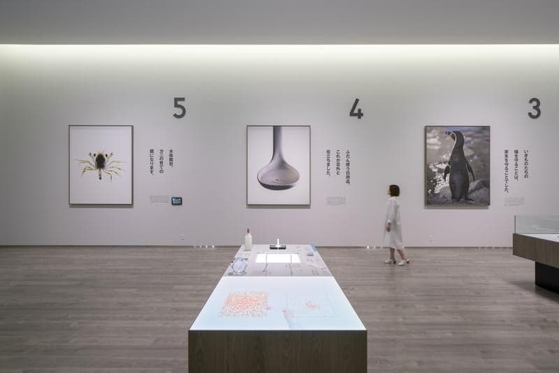 Hiyoriyama Coast Museum