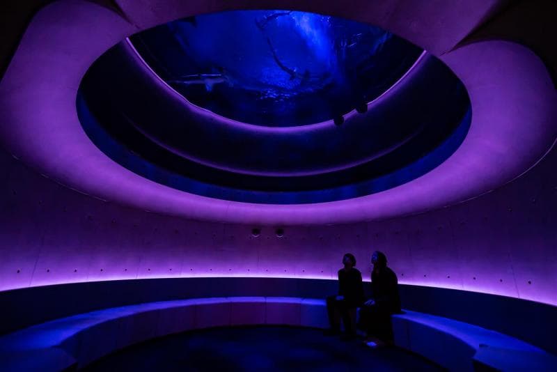四国水族館