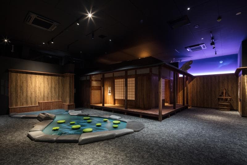 Odawara Castle NINJA Museum