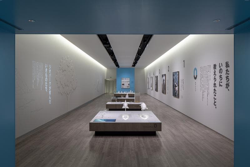 Hiyoriyama Coast Museum
