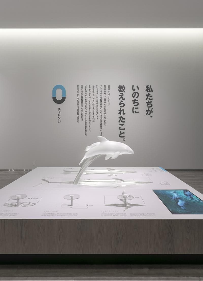 Hiyoriyama Coast Museum
