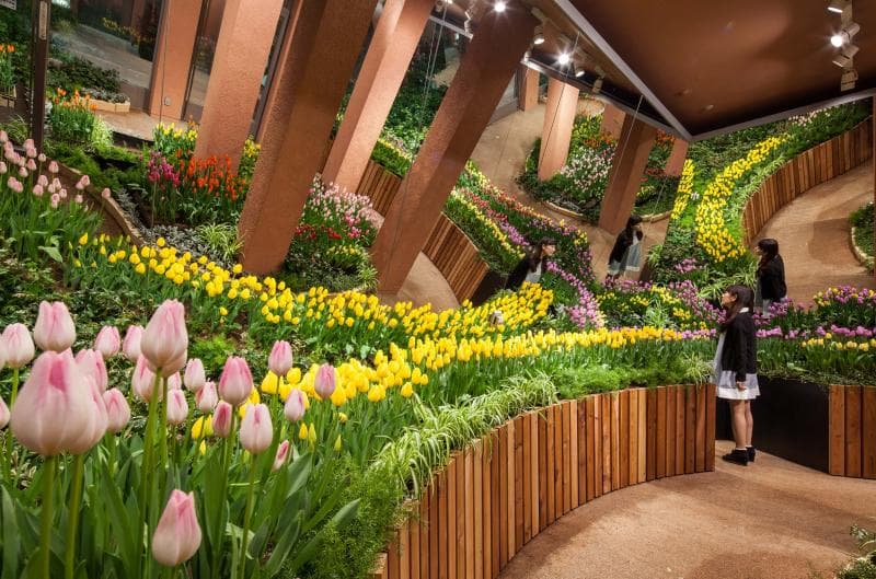 TONAMI TULIP GALLERY Tulip Four Seasons Museum
