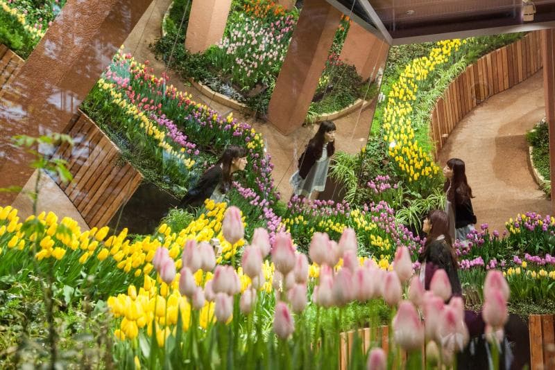 TONAMI TULIP GALLERY Tulip Four Seasons Museum