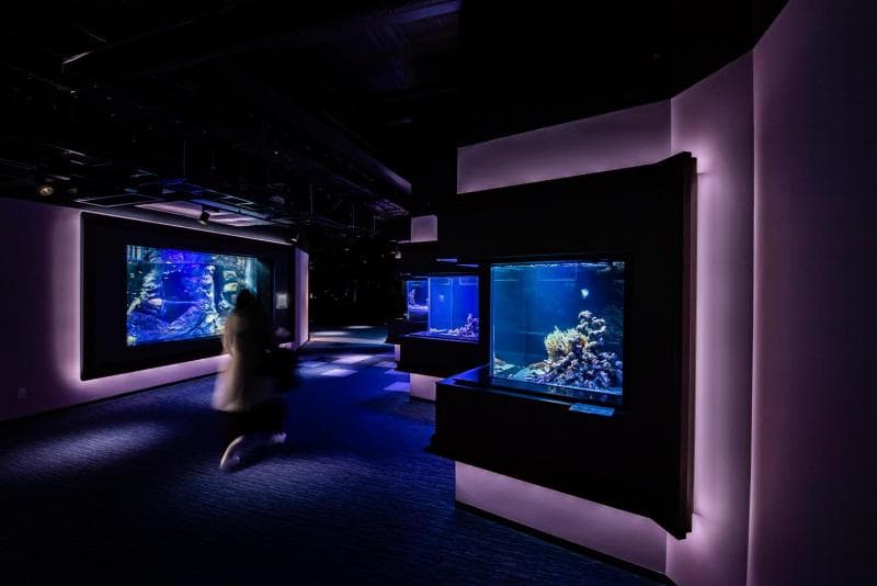 四国水族館