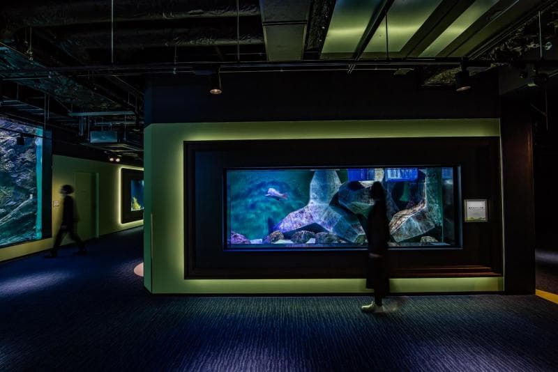 四国水族館
