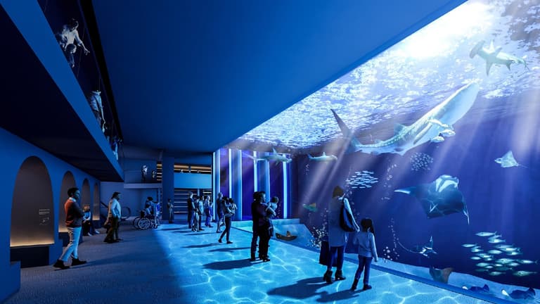 駿河湾沖合大水槽イメージ