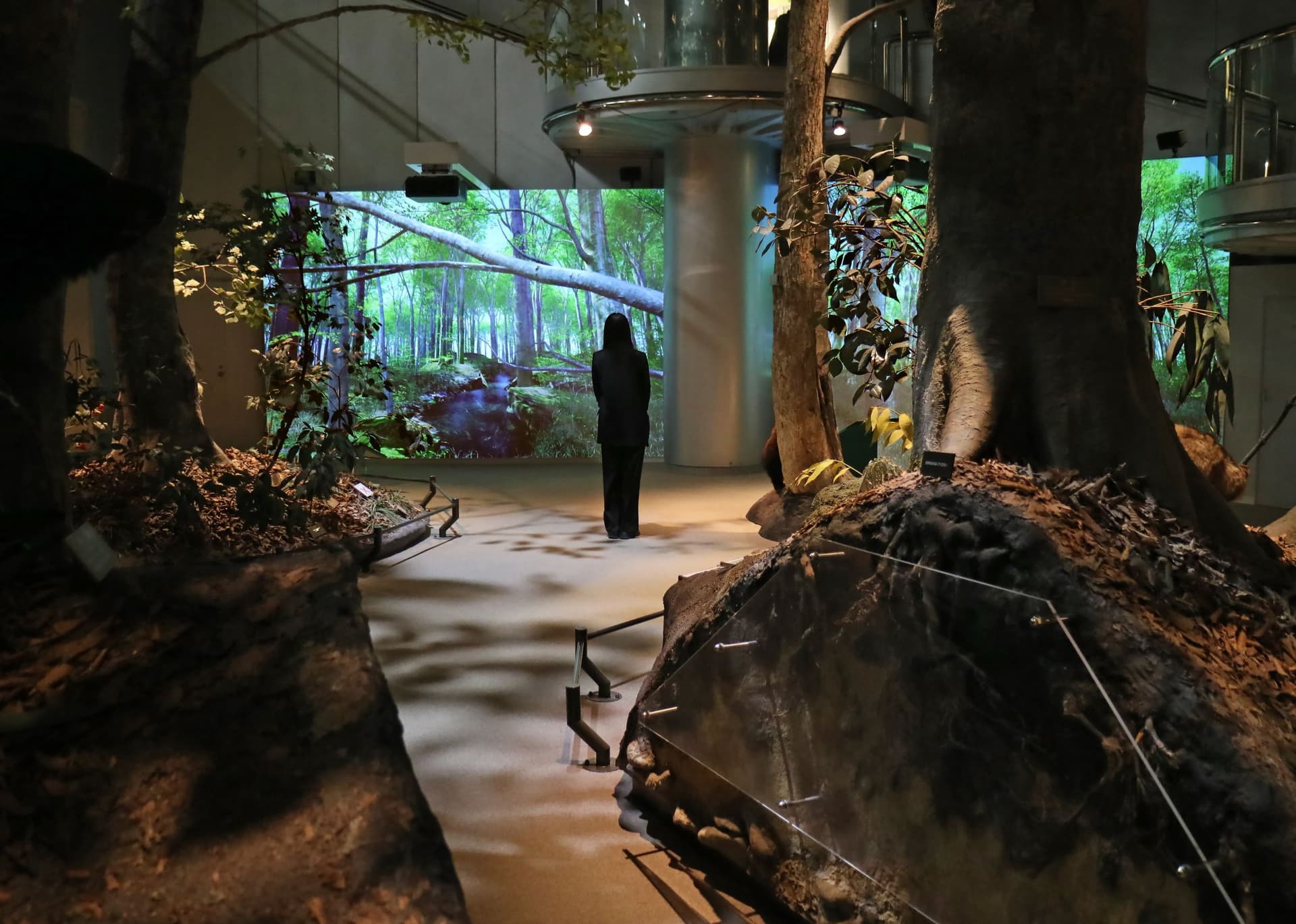 Niigata Prefectural Natural Science Museum