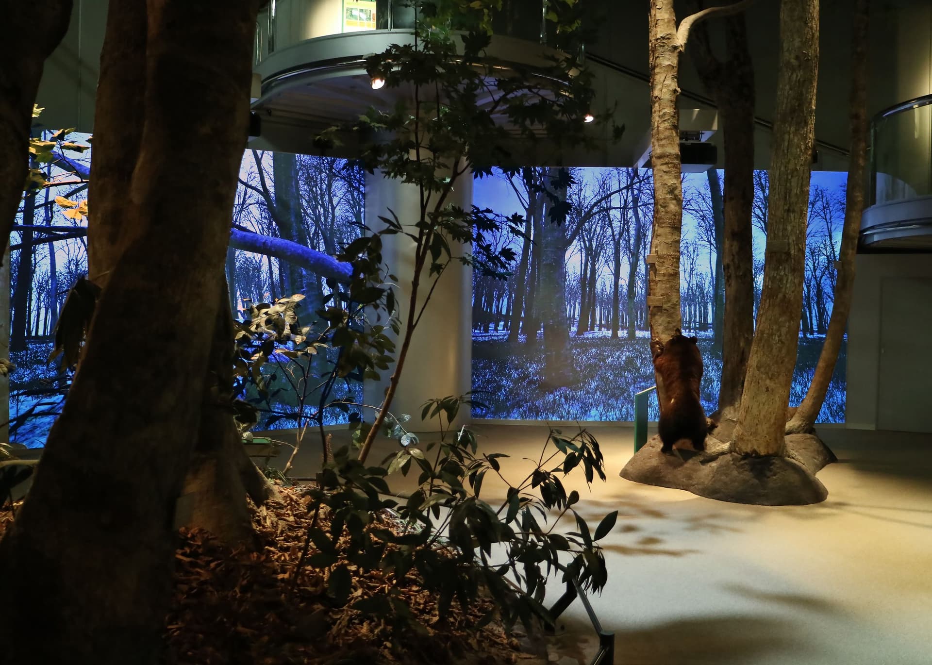 Niigata Prefectural Natural Science Museum