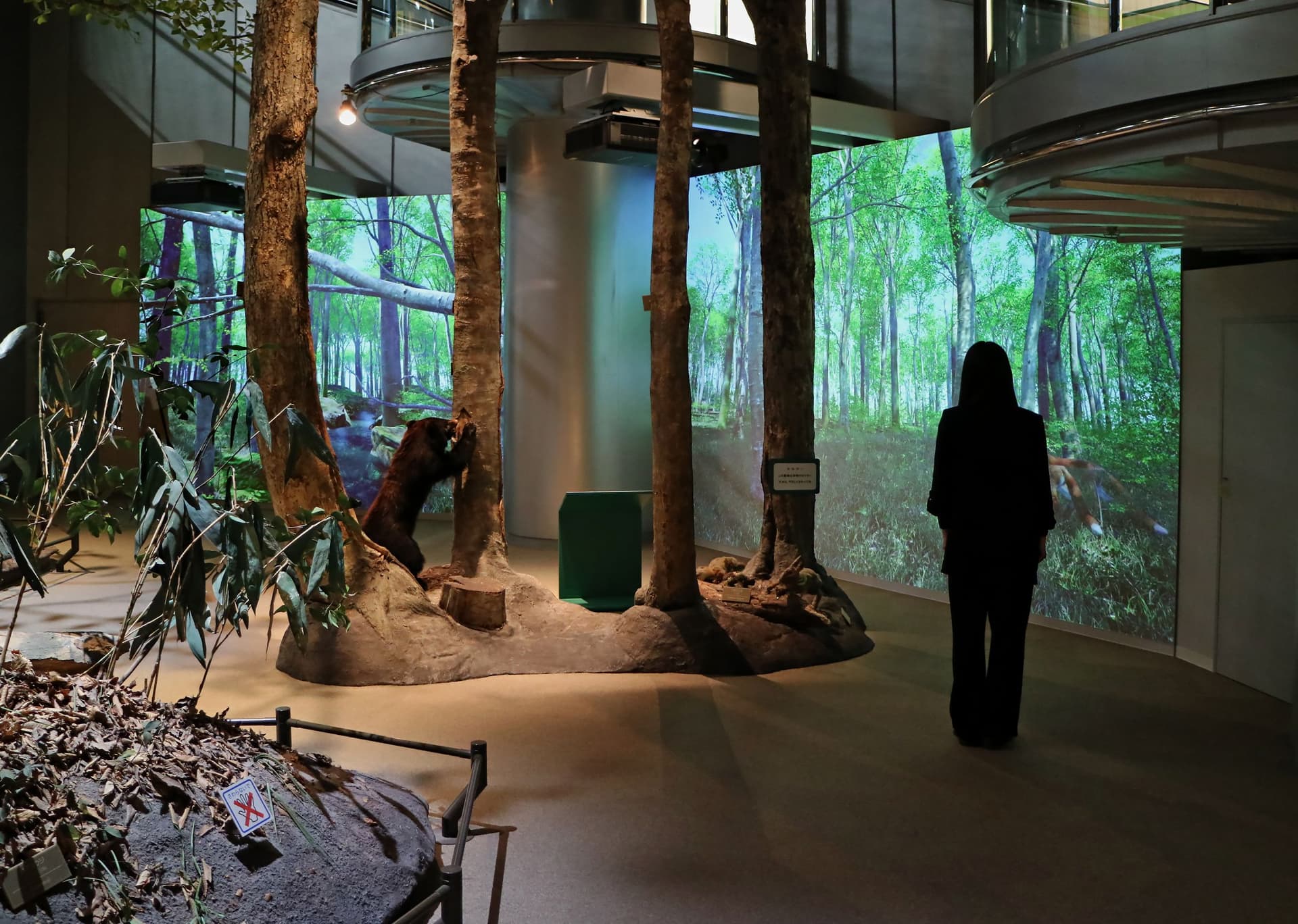 Niigata Prefectural Natural Science Museum