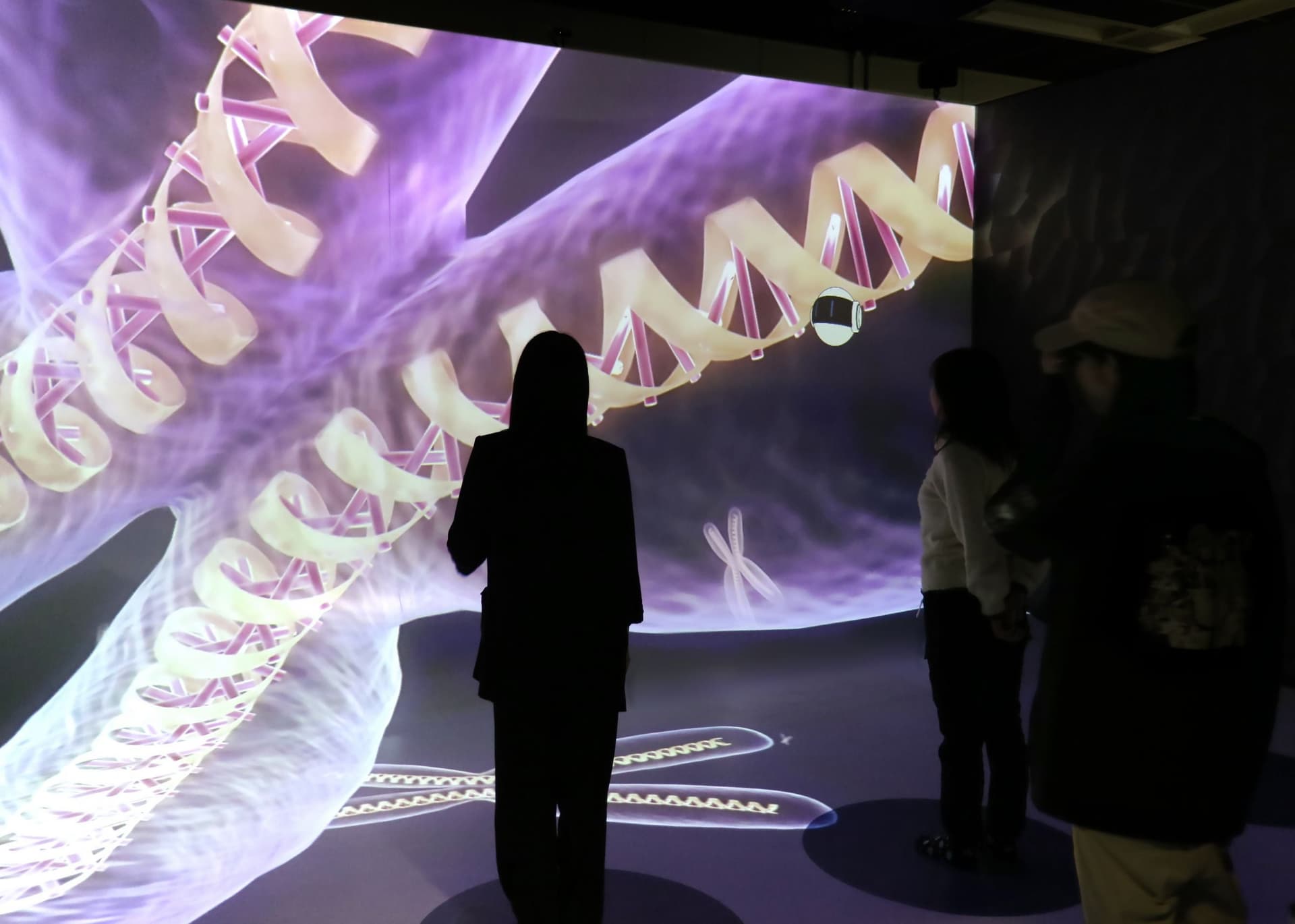Niigata Prefectural Natural Science Museum