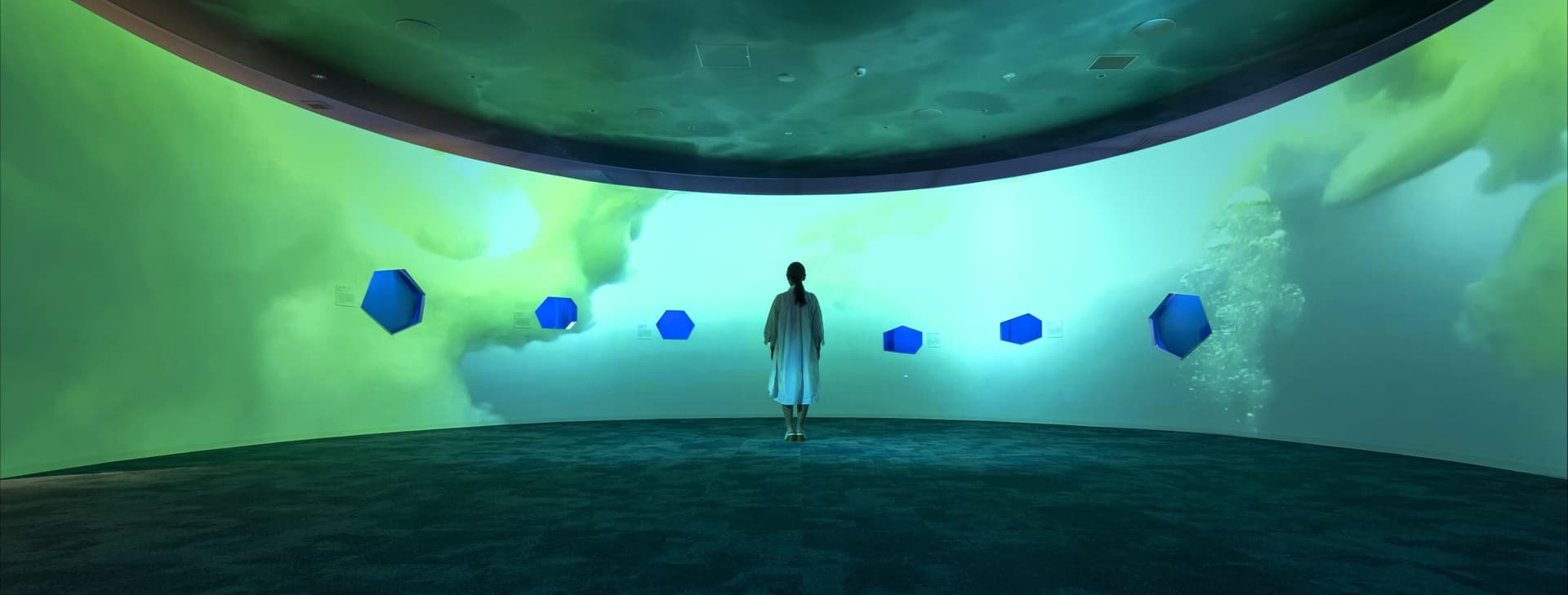オホーツク流氷館 展示リニューアル