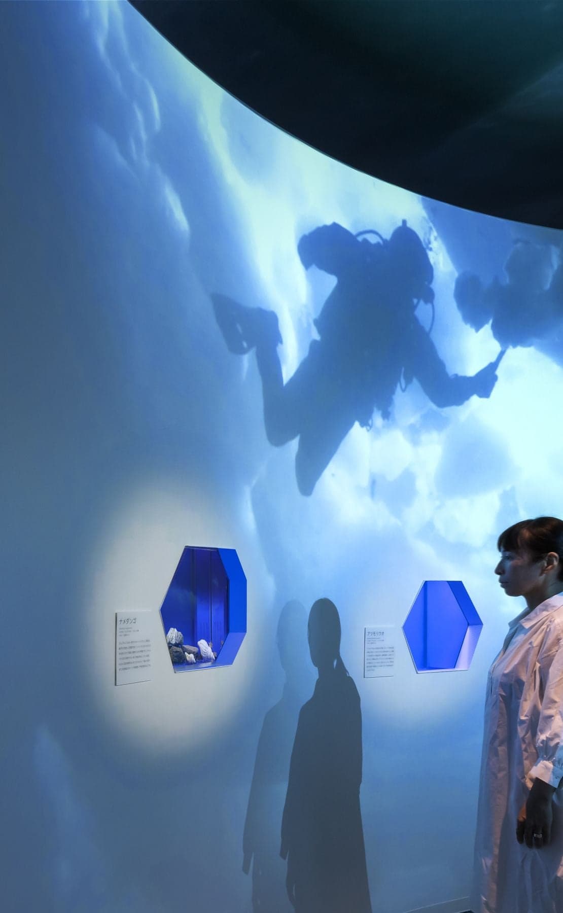 オホーツク流氷館 展示リニューアル