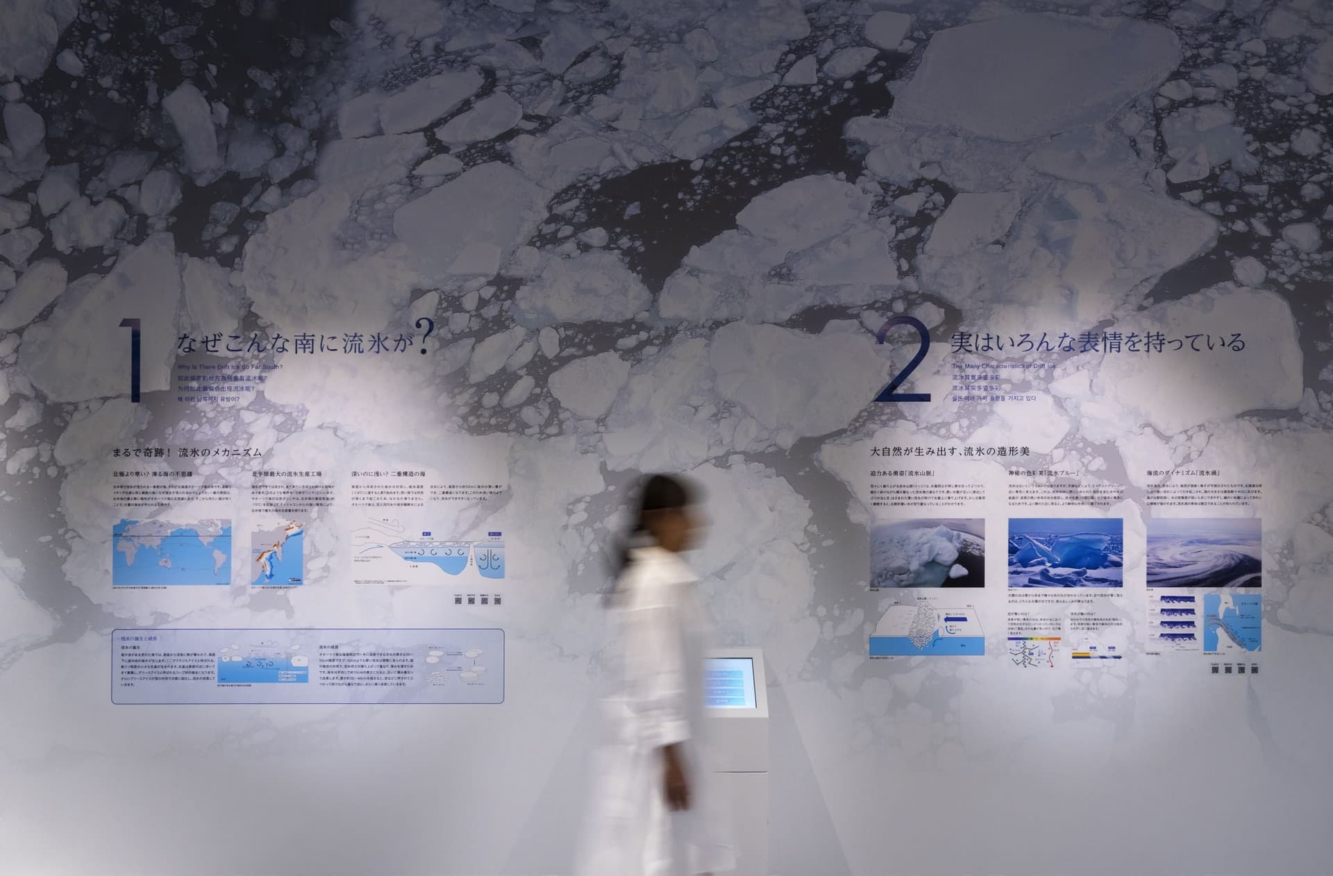 オホーツク流氷館 展示リニューアル