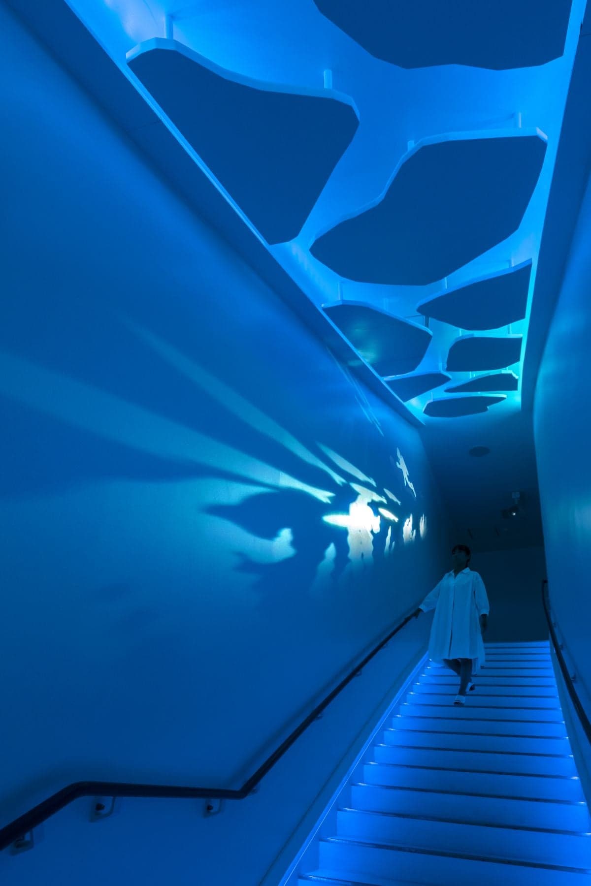 オホーツク流氷館 展示リニューアル