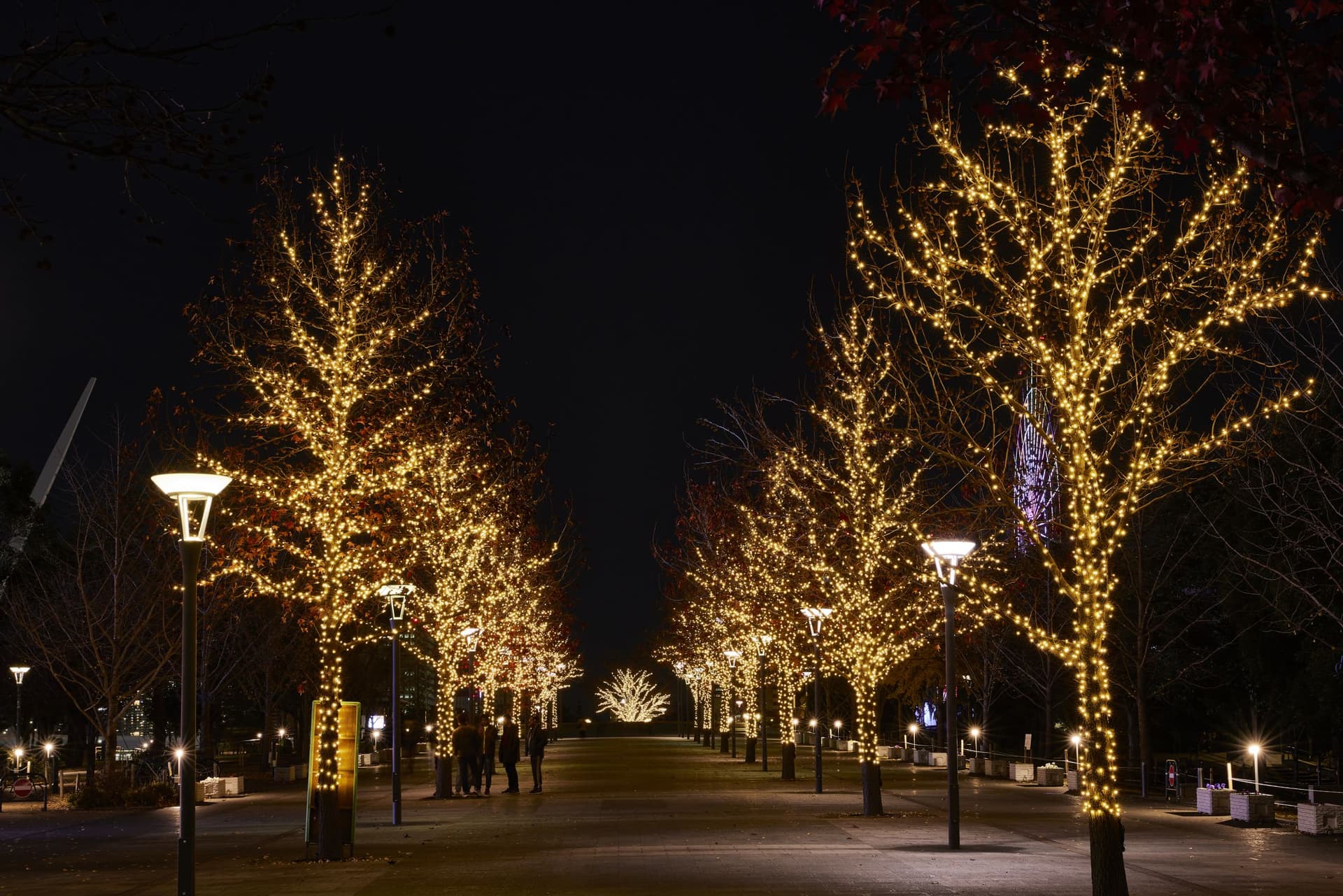 Illumination Island Odaiba 2020