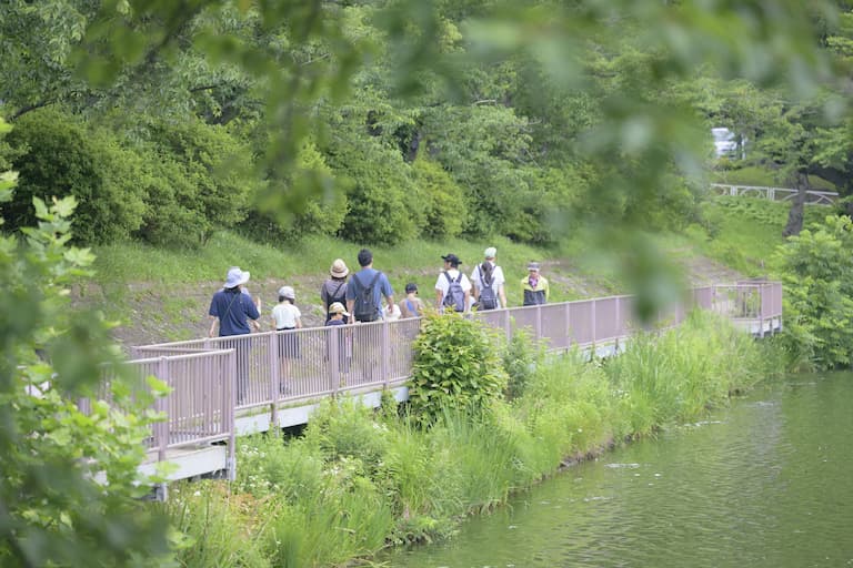 参加者全員で高松の池を散策。