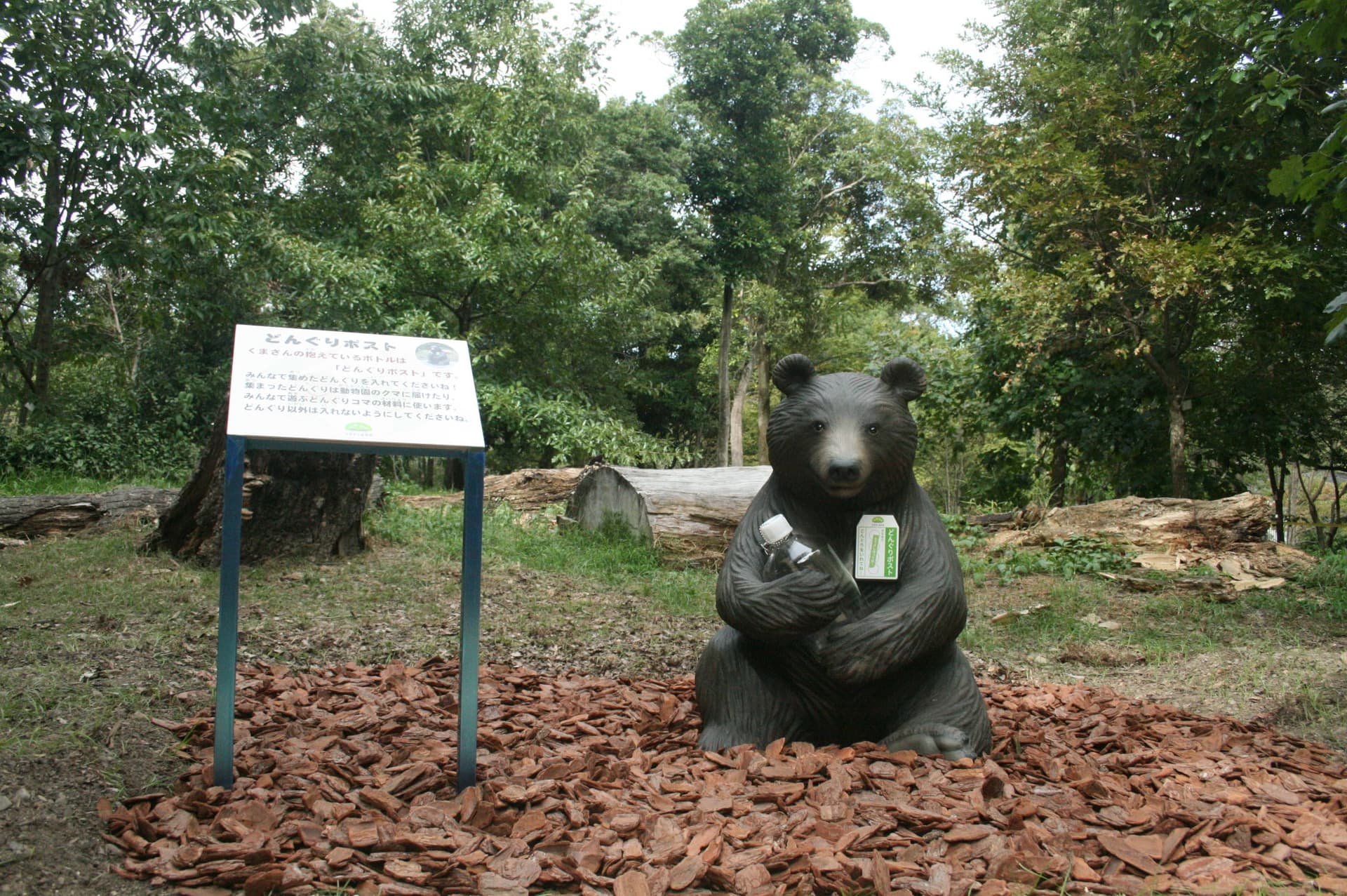 京都府立植物園 どんぐりの森「Dongreen Lab(どんぐりーんらぼ)」