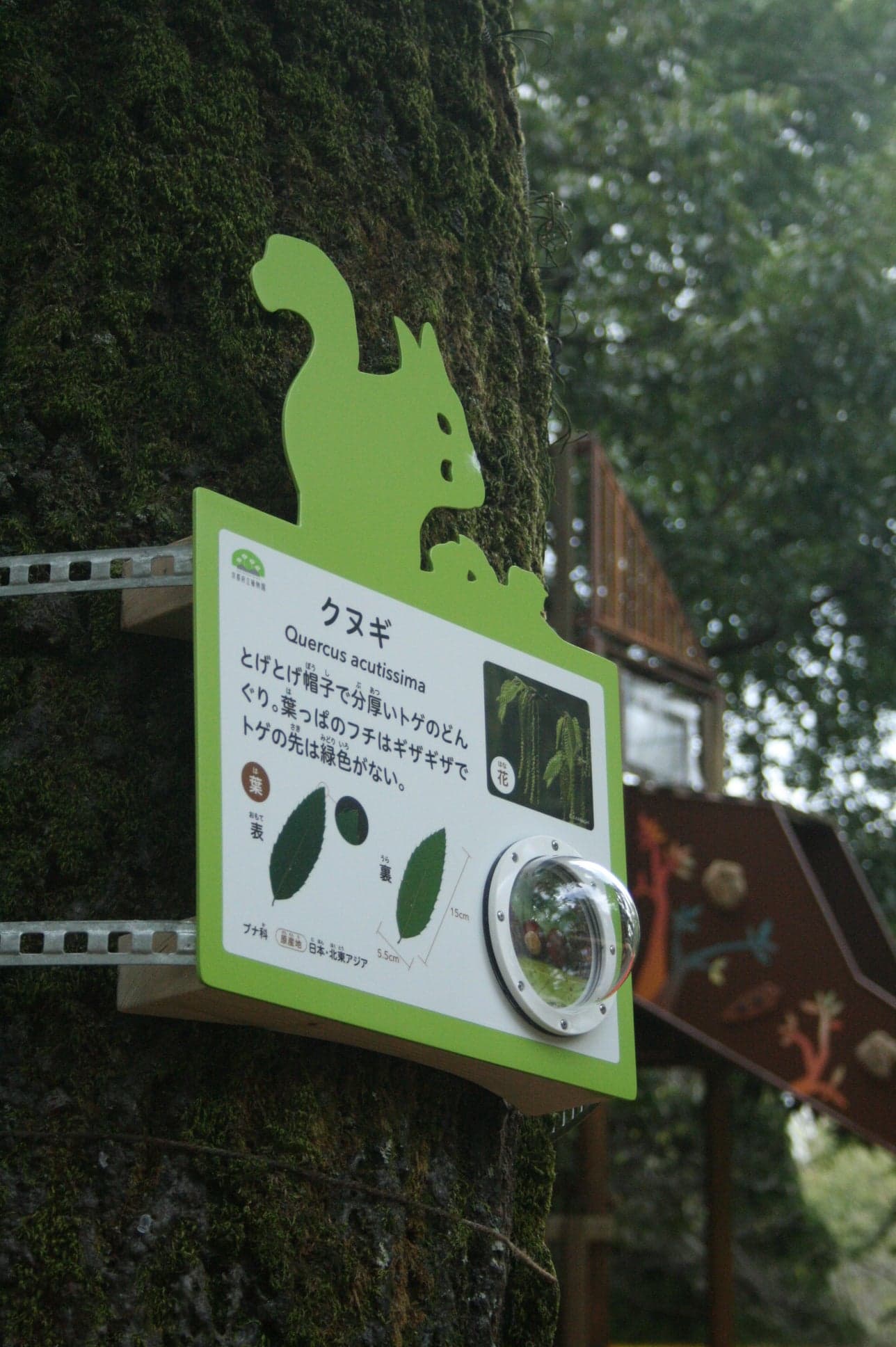 京都府立植物園 どんぐりの森「Dongreen Lab(どんぐりーんらぼ)」