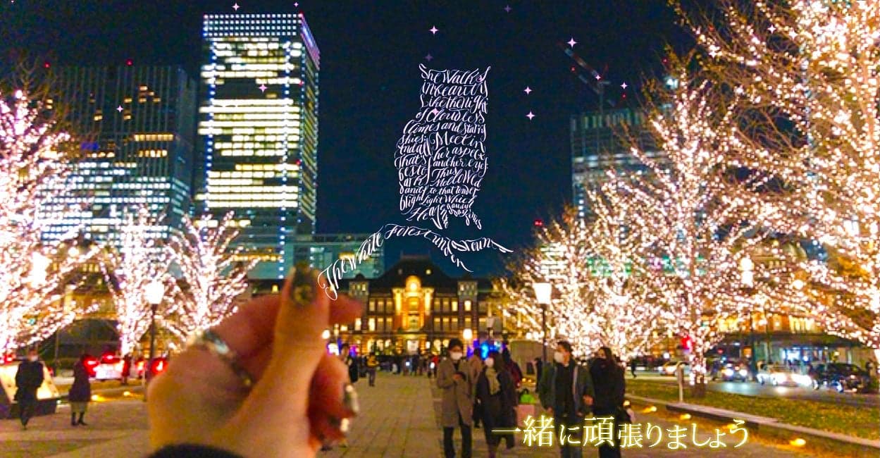 首视图图像