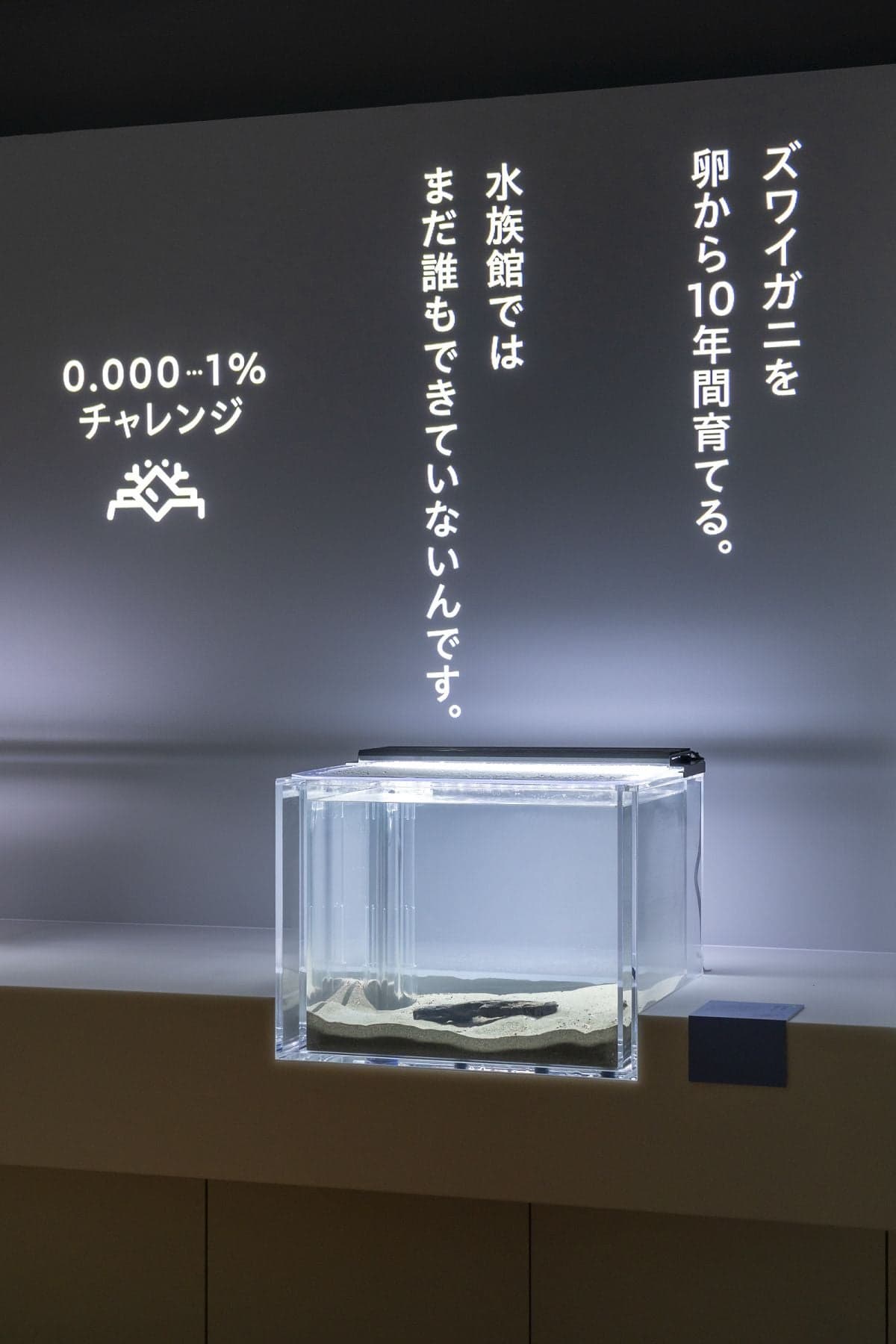 城崎海洋世界SeaZoo6