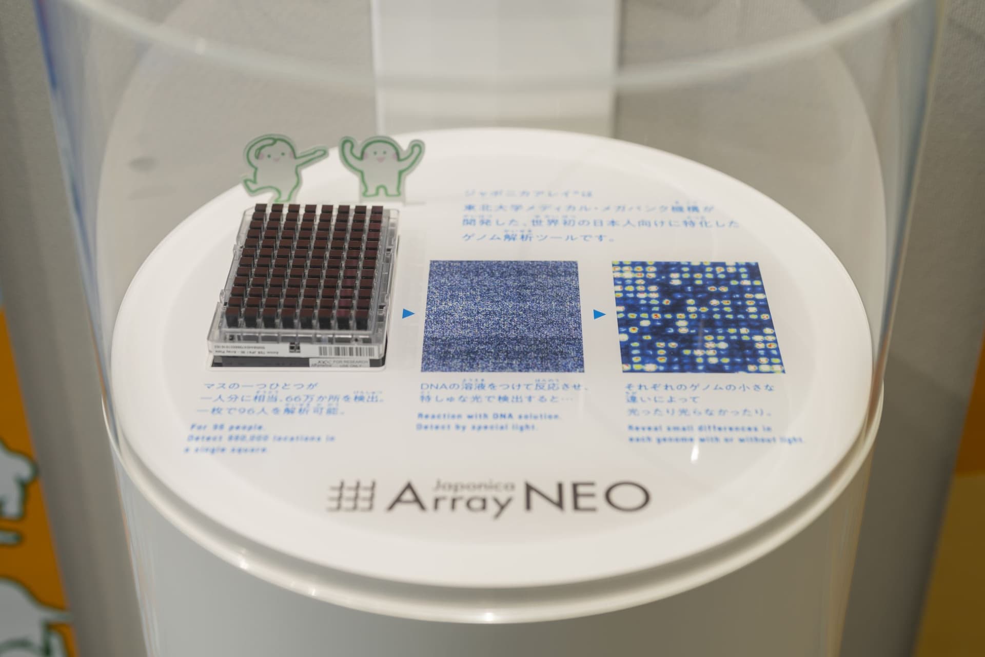 Sendai City Science Museum Permanent displays "ATGC Nano Journey" 5