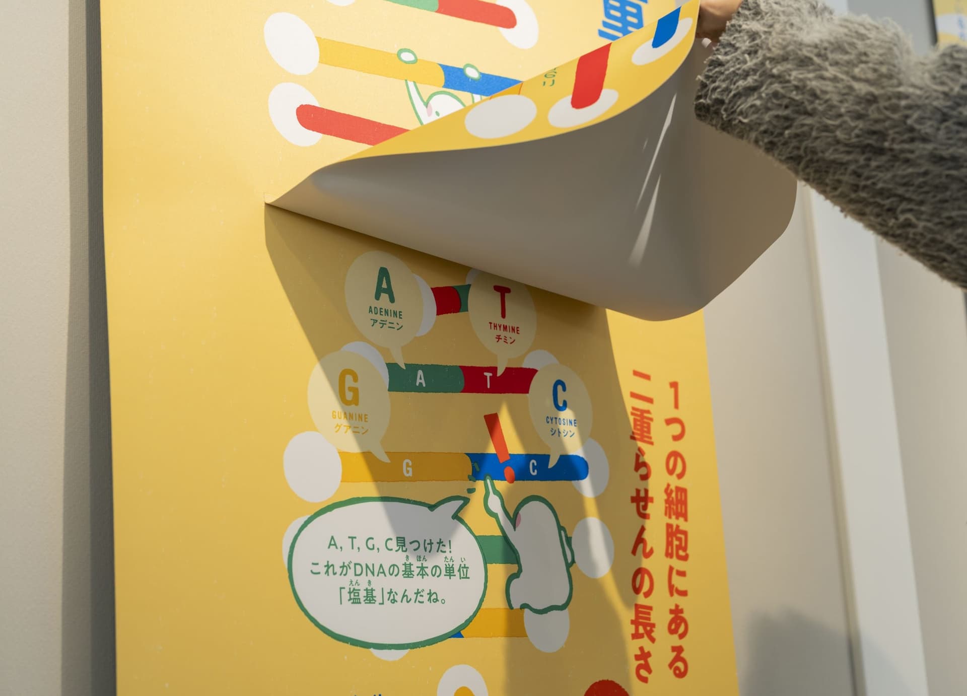 Sendai City Science Museum Permanent displays "ATGC Nano Journey" 6