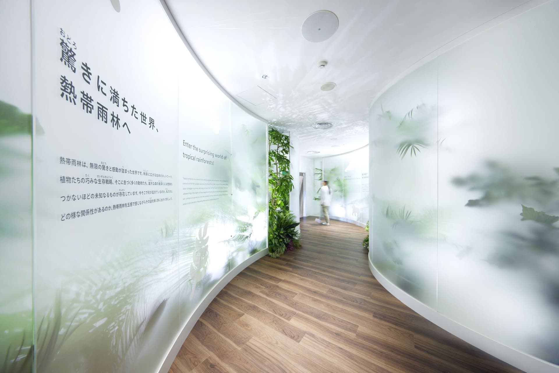 千葉市動物公園 動物科学館 -生命の森 熱帯雨林 Wonder of Rainforestー4