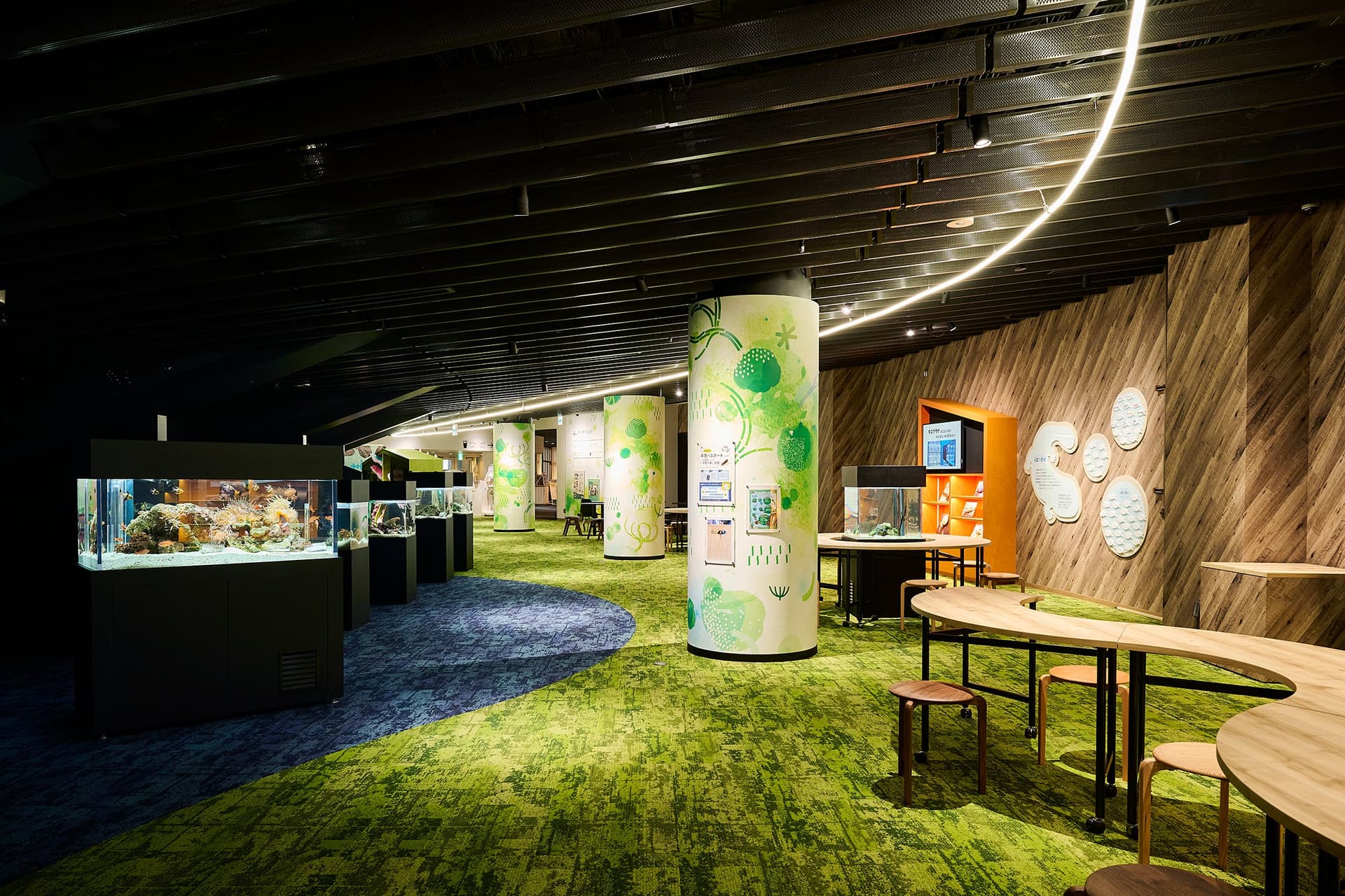 Kyoto Aquarium "Mitette" 2