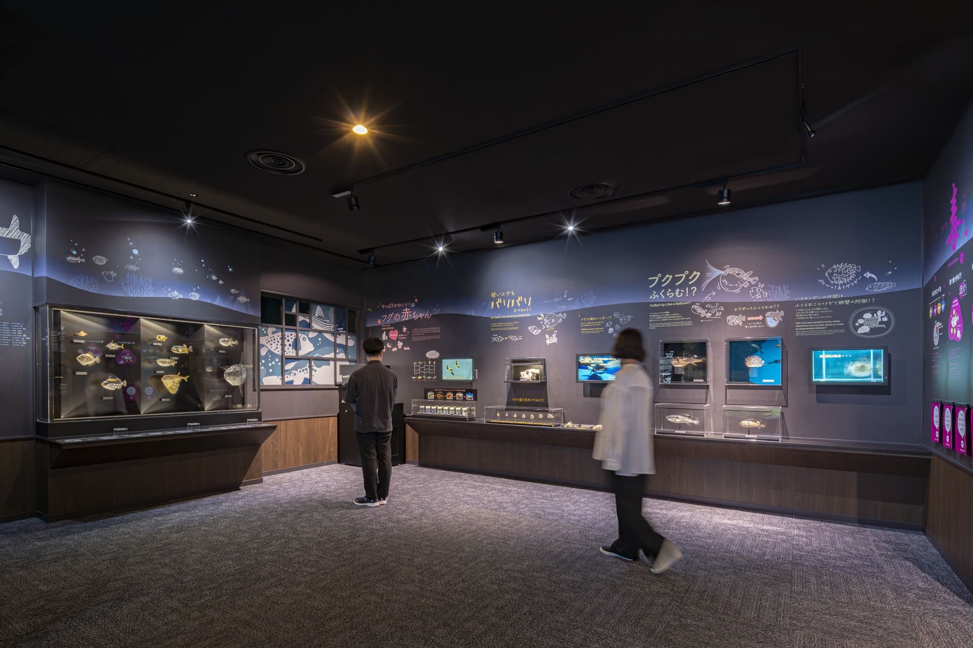 市立下关水族馆“海响馆”重新装修3