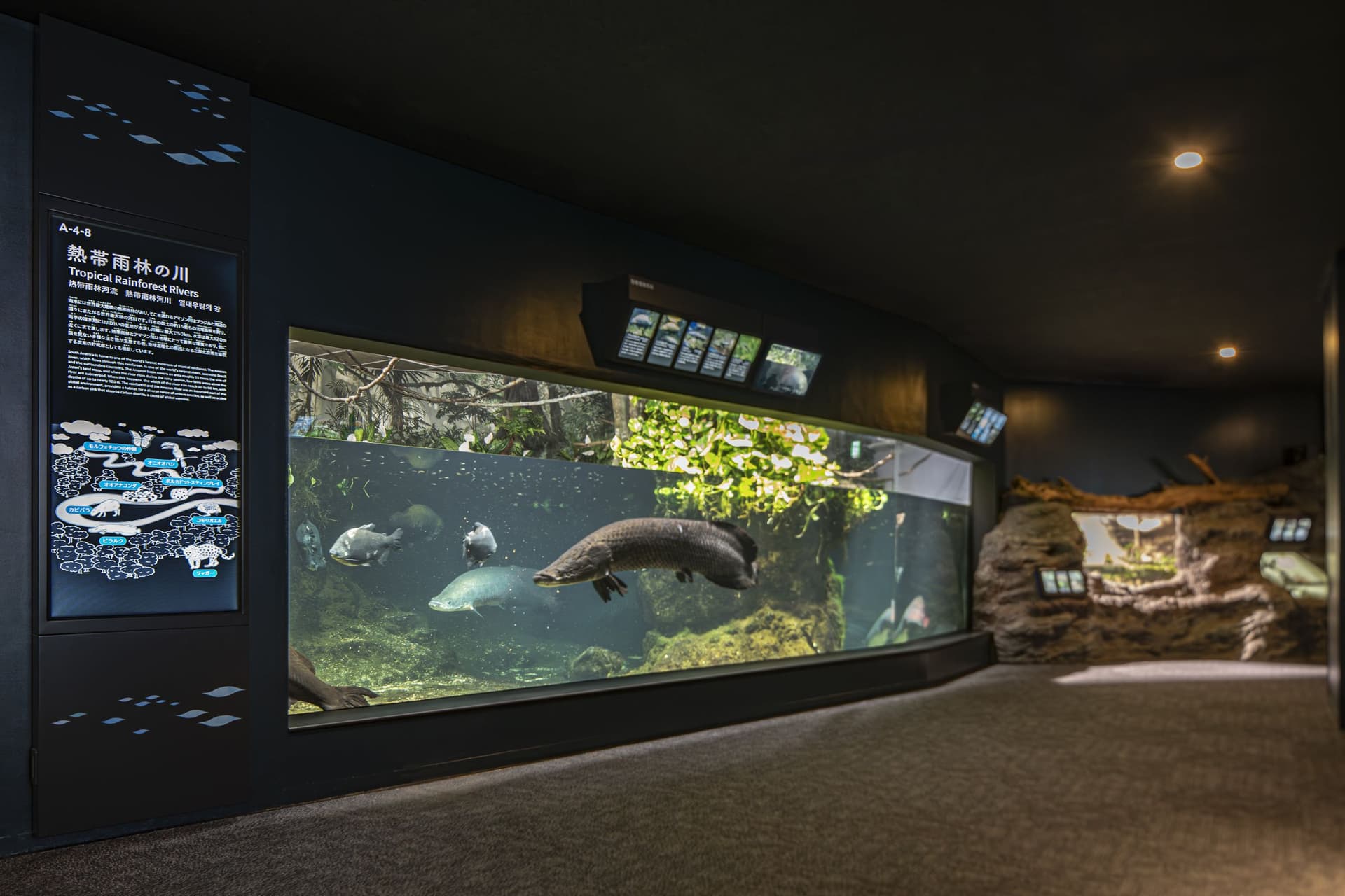 市立下关水族馆“海响馆”重新装修1