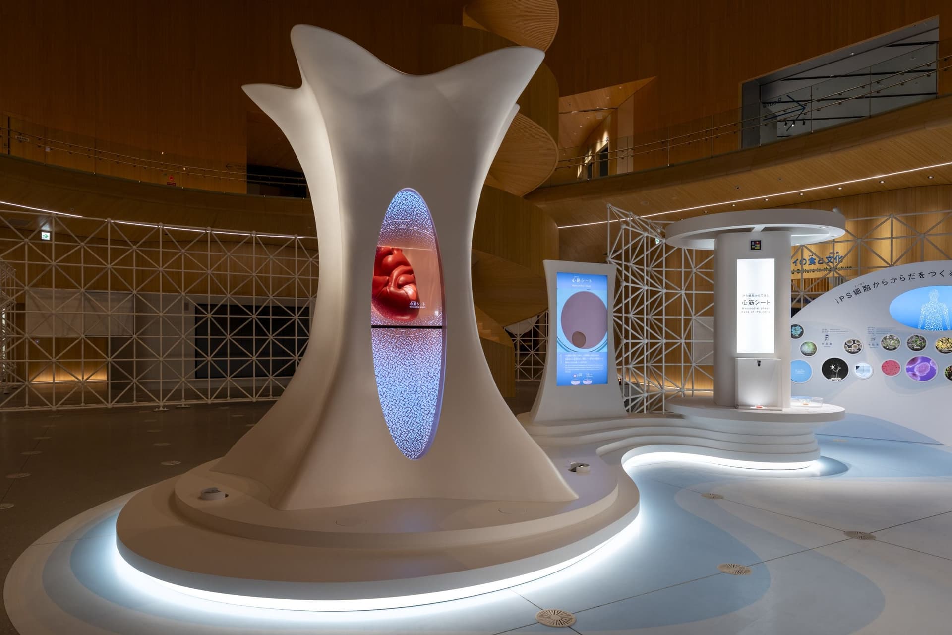 2025年日本国际博览会大阪保健馆Nest for Reborn“iPS Cells for the Future”4