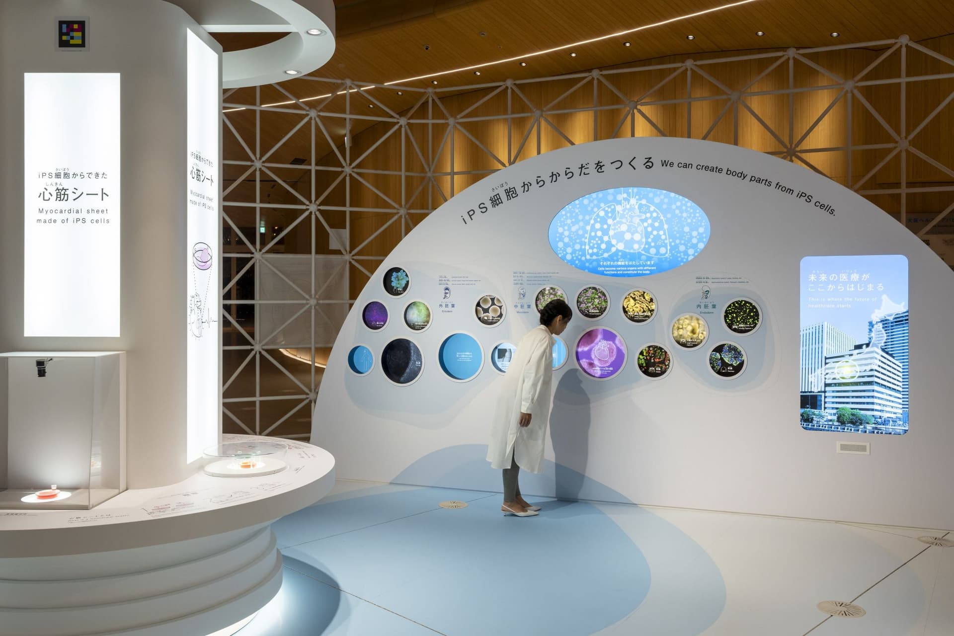 2025年日本国际博览会大阪保健馆Nest for Reborn“iPS Cells for the Future”5