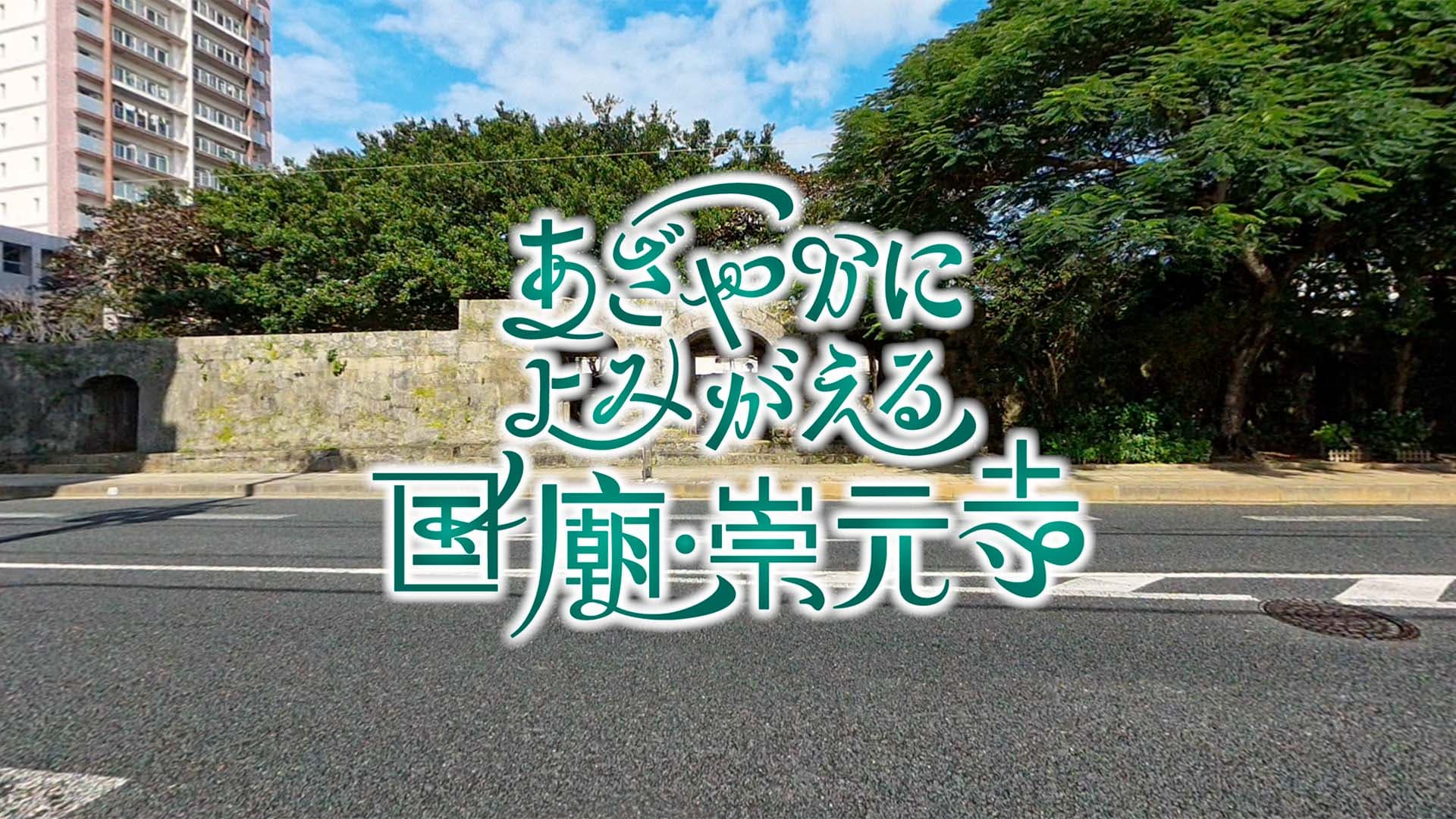 首视图图像