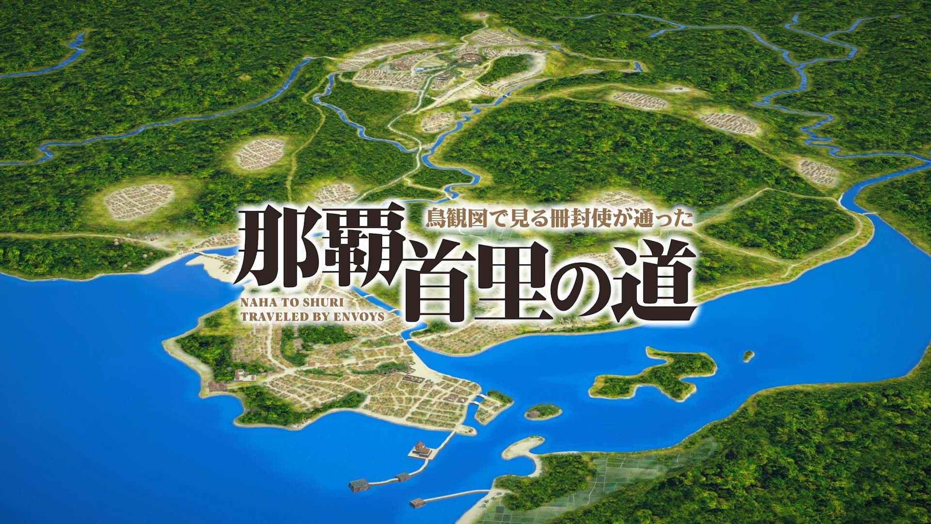 首视图图像