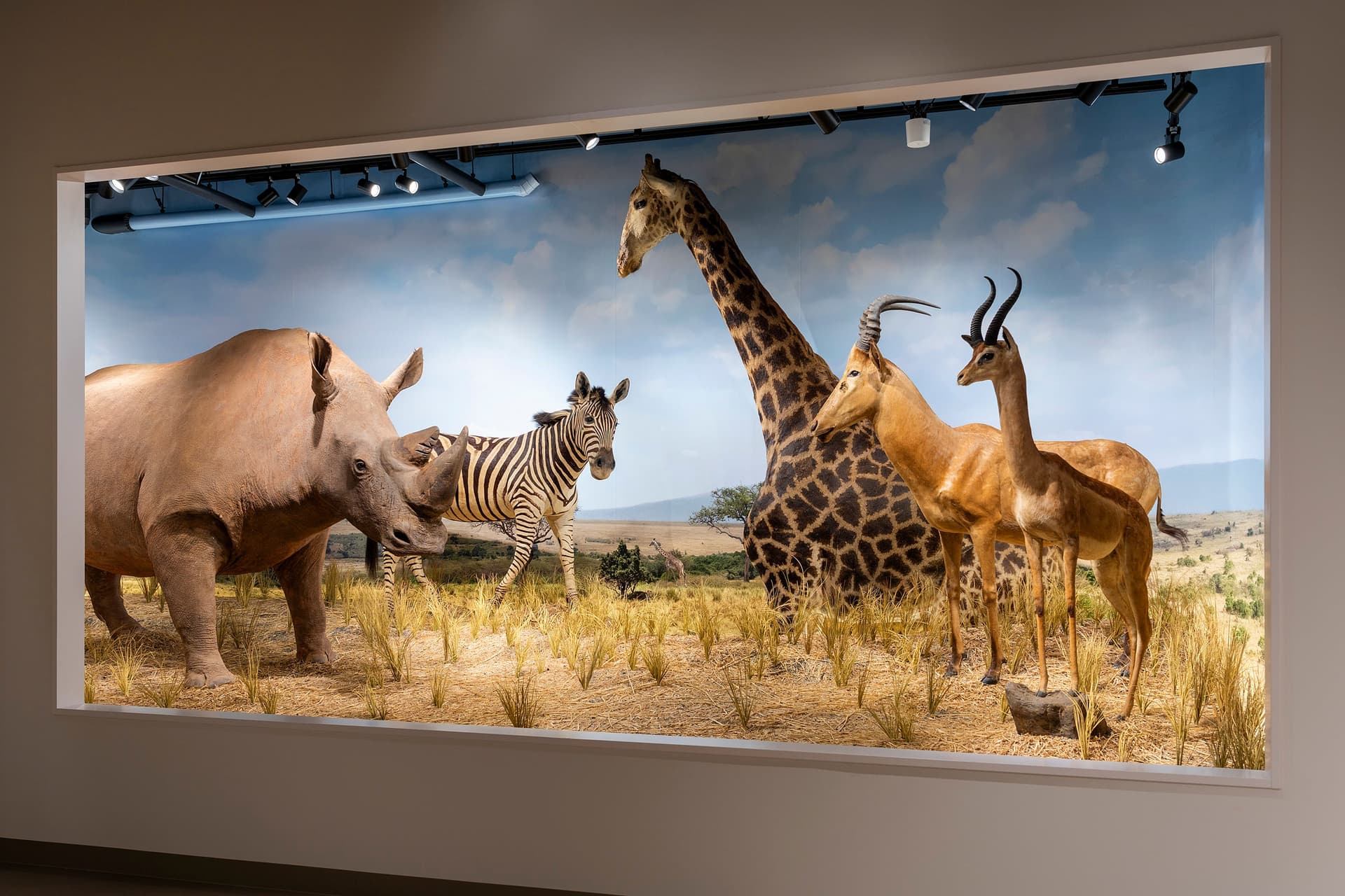 Osaka University of Arts Animal Diorama Museum Geidai Zoo1