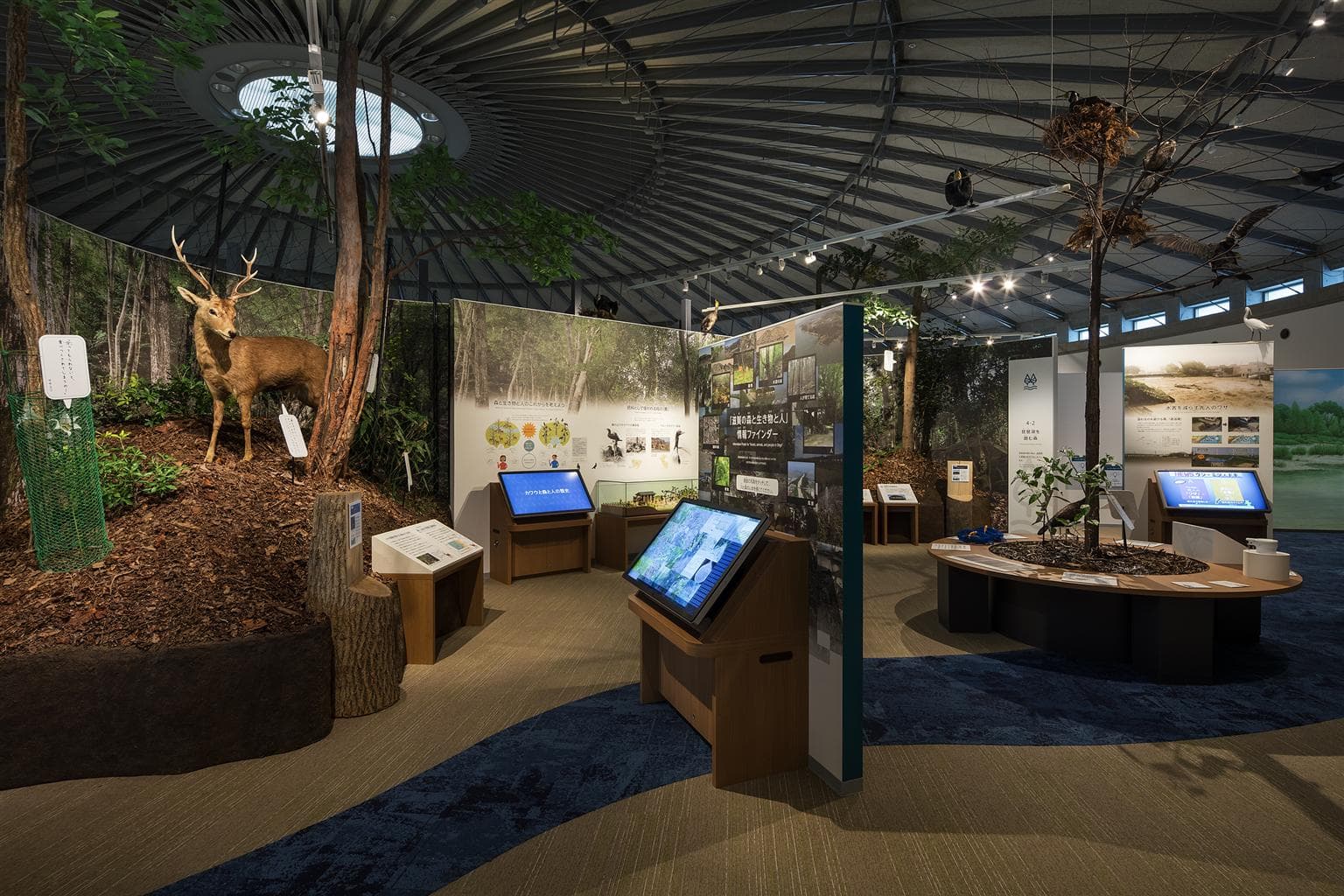 Shiga Prefectural Lake Biwa Museum