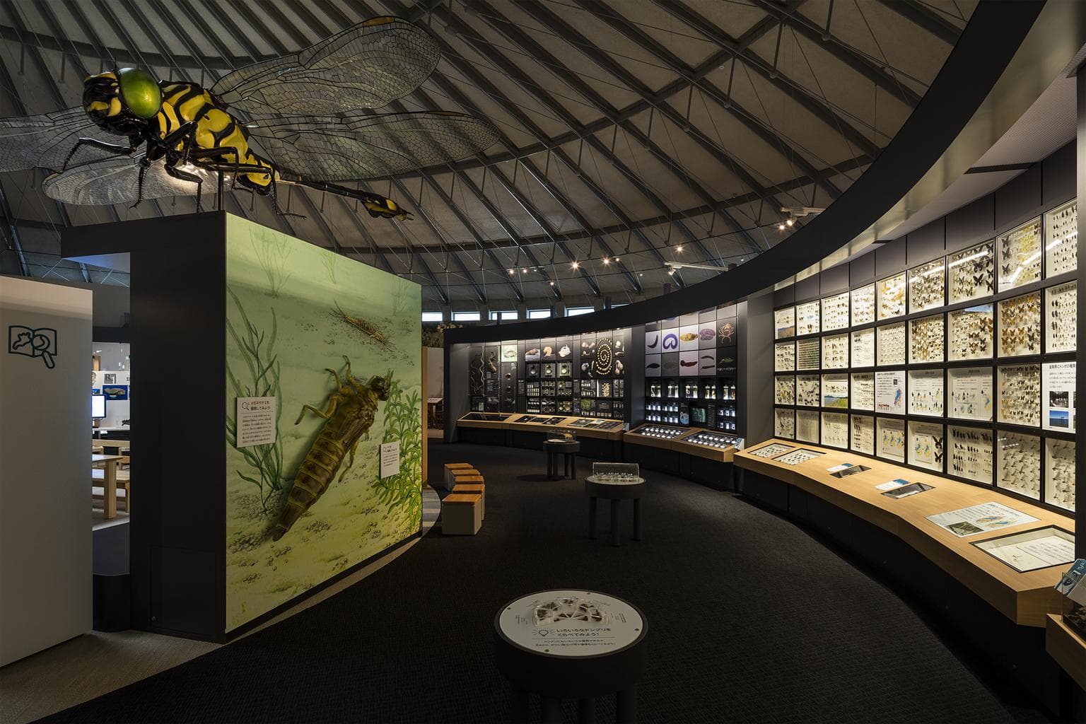 Shiga Prefectural Lake Biwa Museum