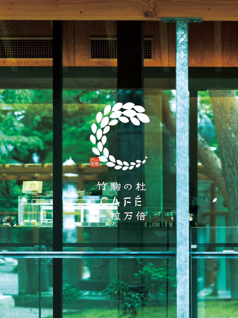 和当地的人们一起创造昔日森林的繁华。