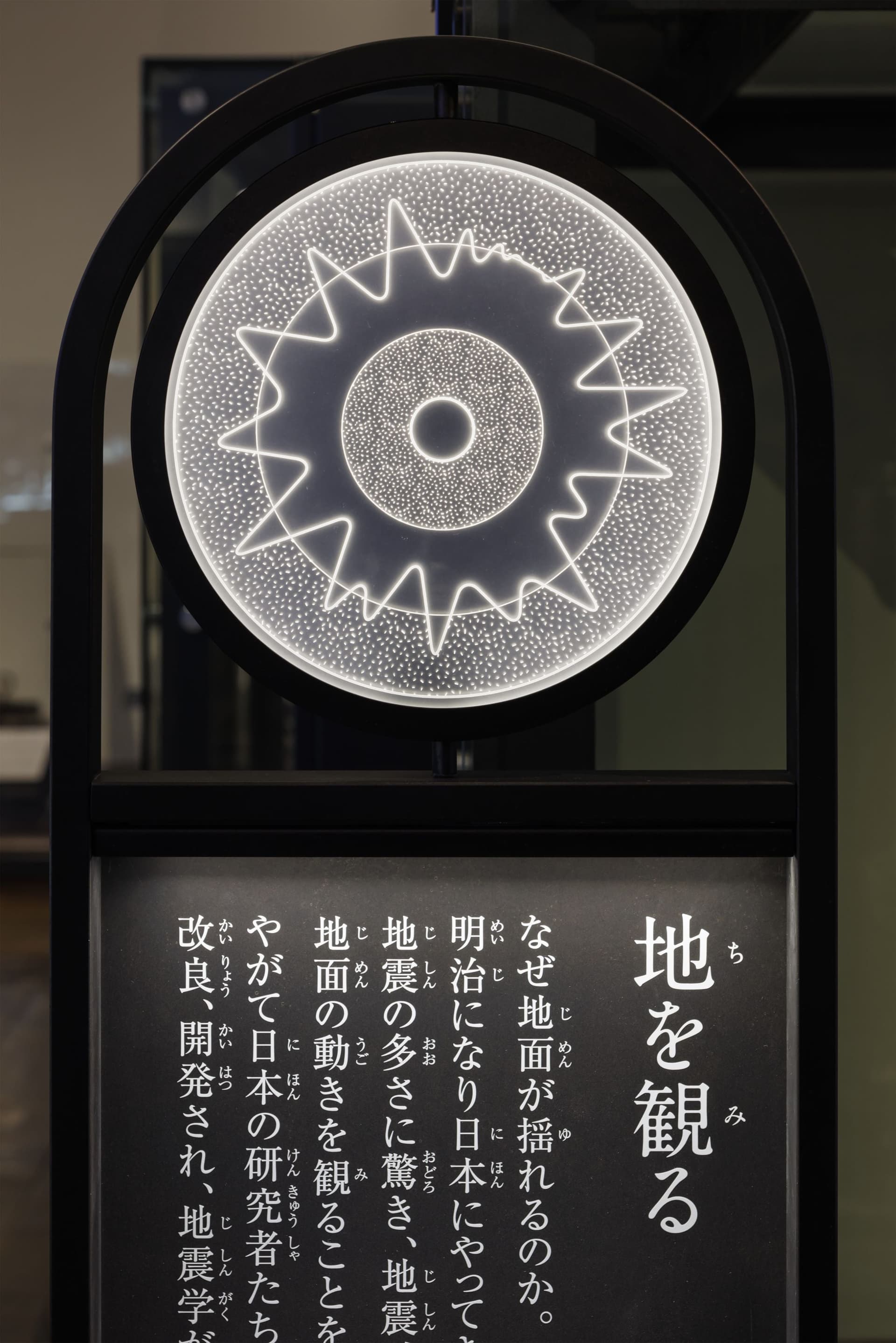 国⽴科学博物館 ⽇本館1階南翼「⾃然をみる技」リニューアル6