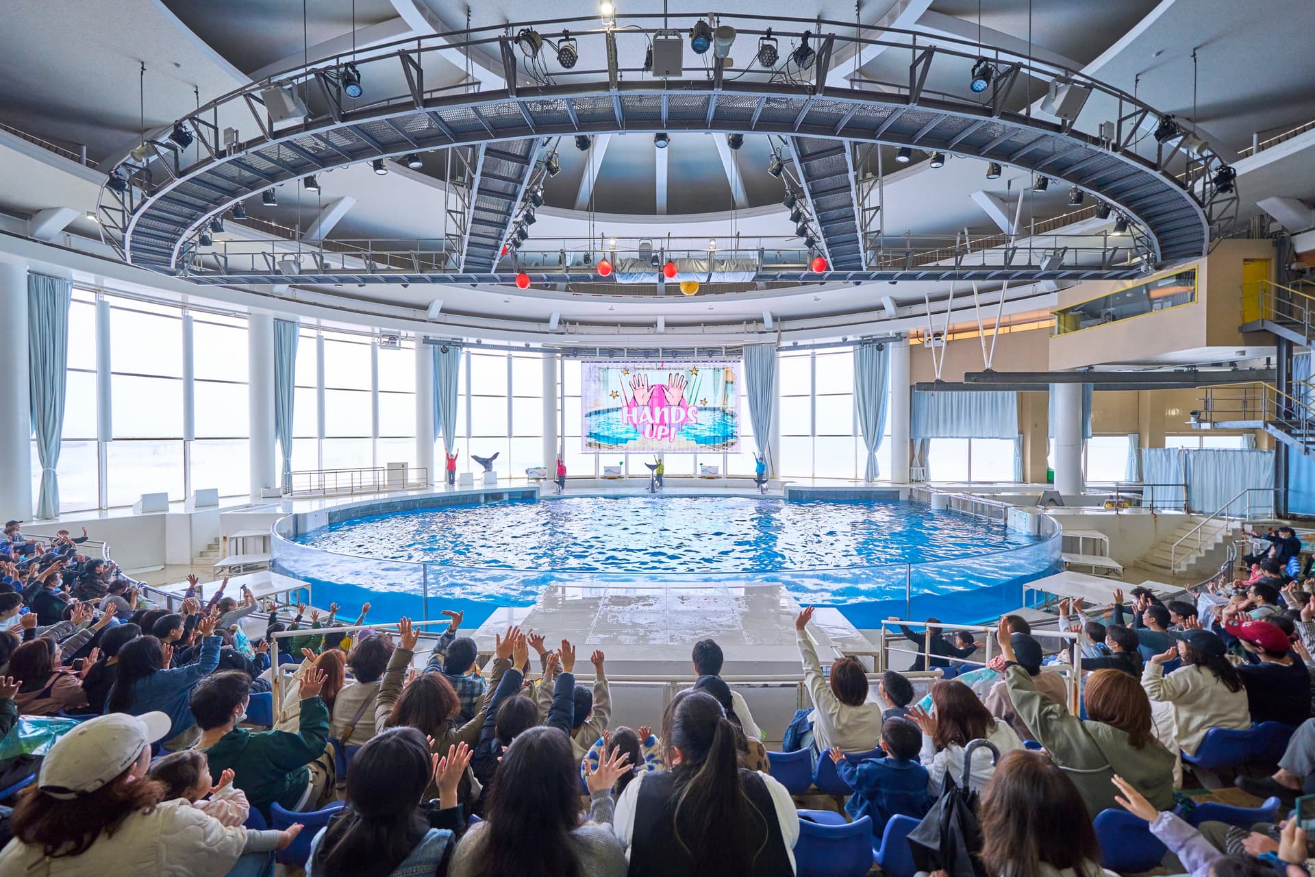アクアワールド茨城県大洗水族館 イルカ・アシカオーシャンライブ2