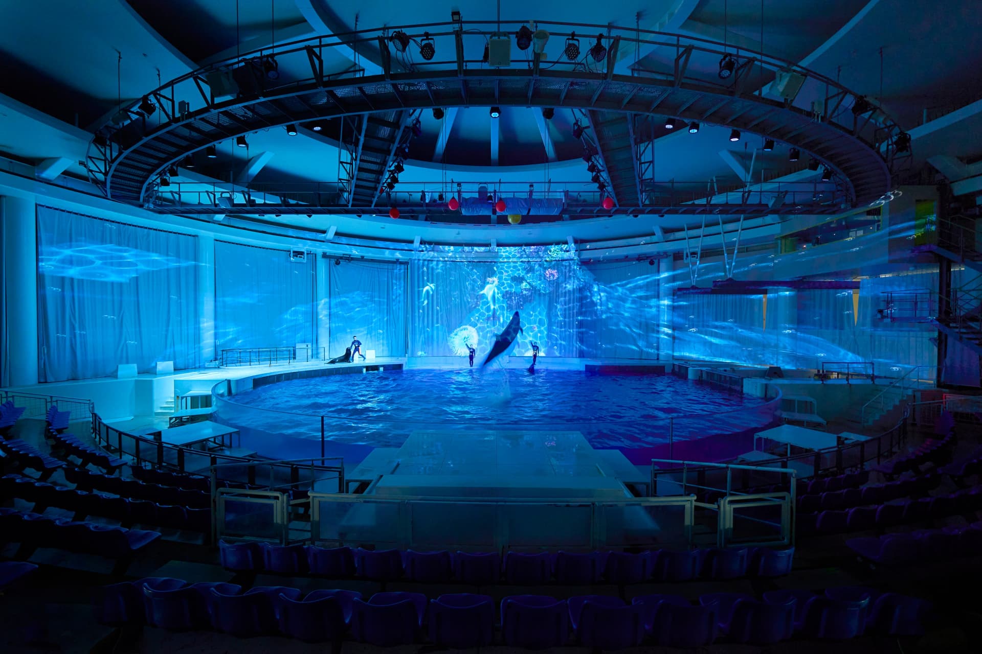 アクアワールド茨城県大洗水族館 イルカ・アシカオーシャンライブ3