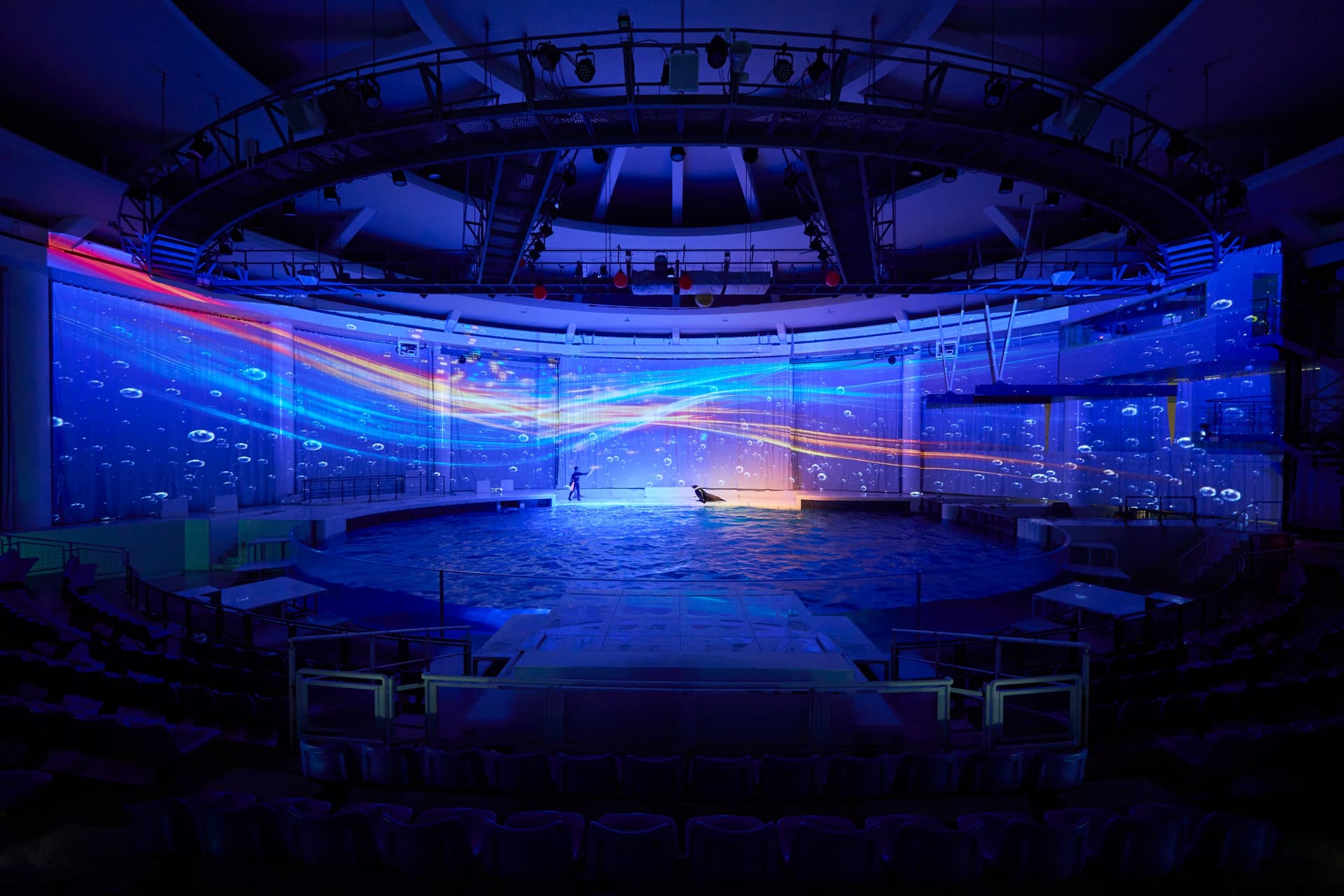 アクアワールド茨城県大洗水族館 イルカ・アシカオーシャンライブ4