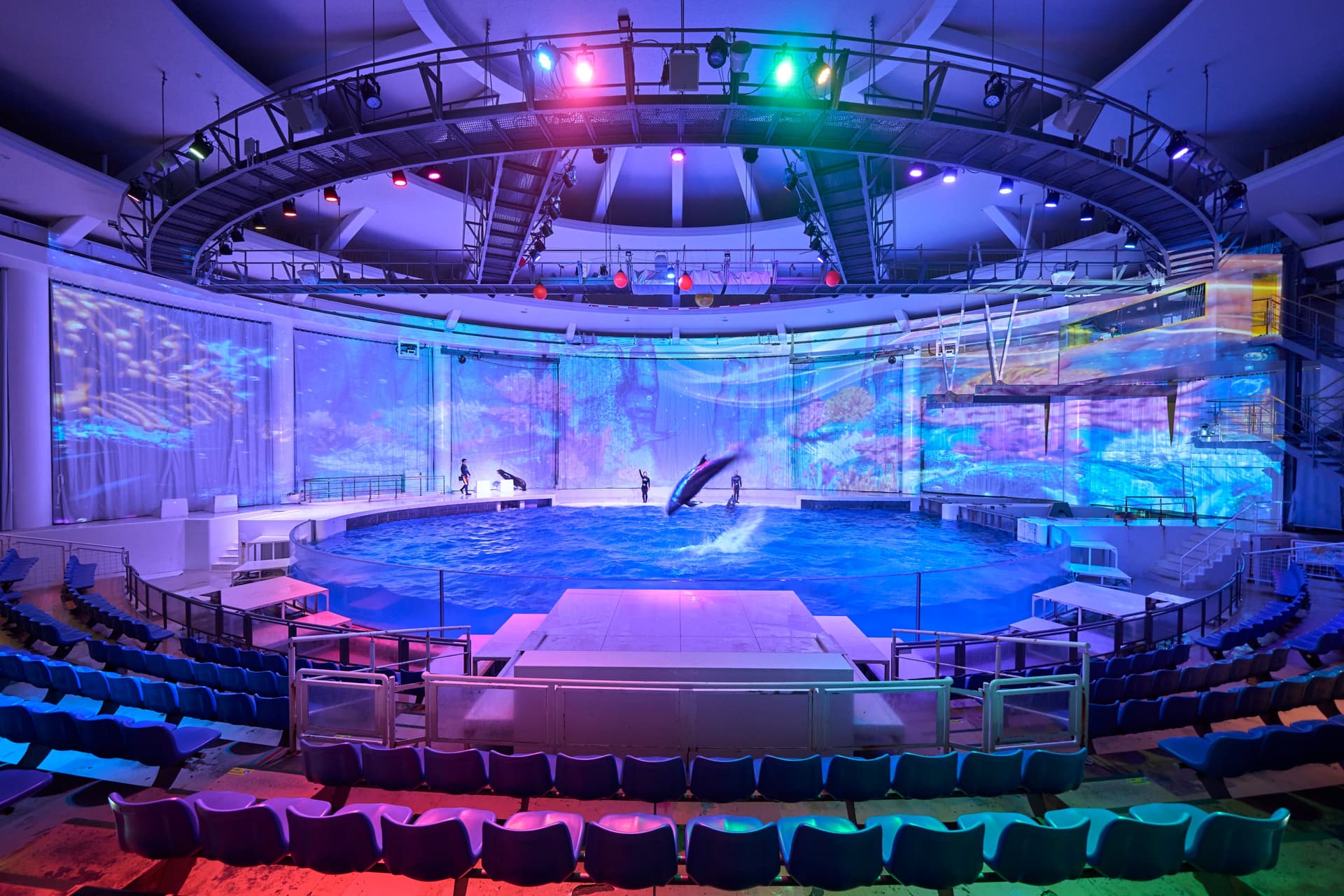アクアワールド茨城県大洗水族館 イルカ・アシカオーシャンライブ5