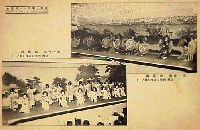 産業と観光の大博覧会-絵葉書-42