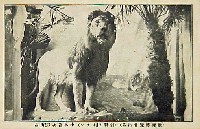 教育博覧会-絵葉書-11