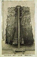 教育博覧会-絵葉書-7