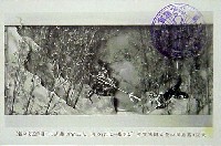 御大典記念豊太閤博覧会-絵葉書-2