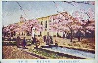平和記念東京博覧会-絵葉書-103