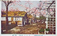 平和記念東京博覧会-絵葉書-105